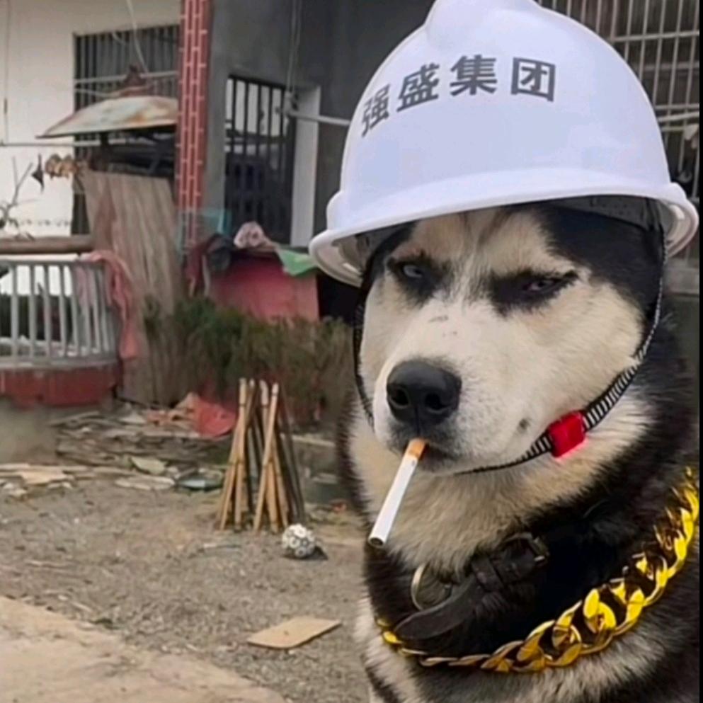 茄盒