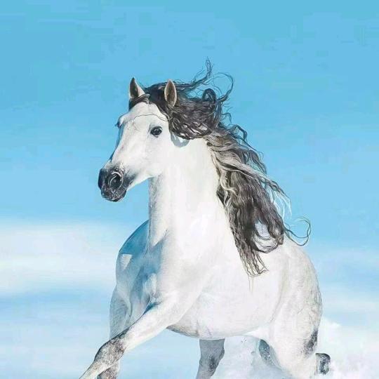 @香甜城堡o>_<o漠粉