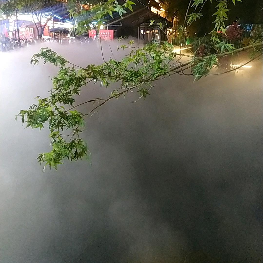 小伟