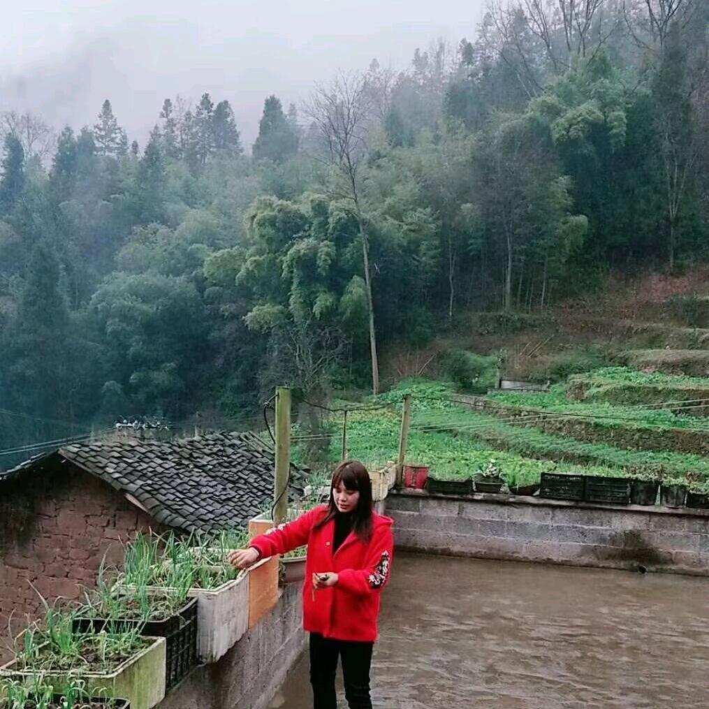 心平气和