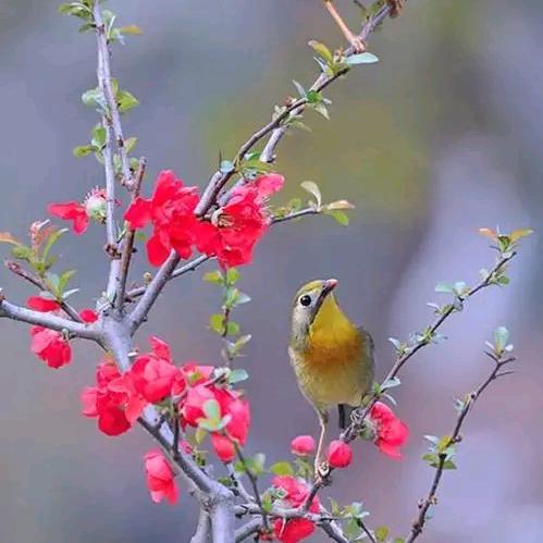 握住自己的幸福