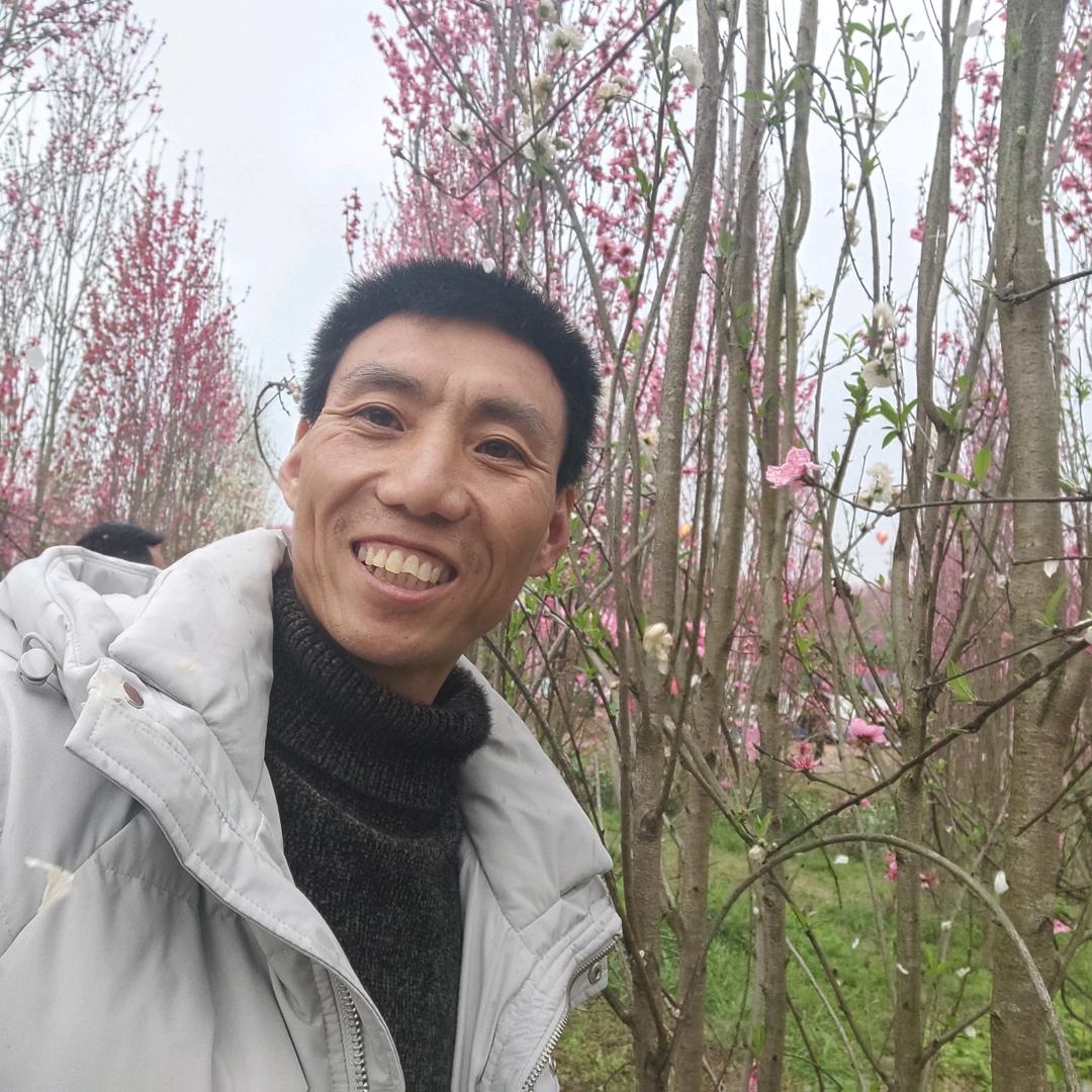 刘军