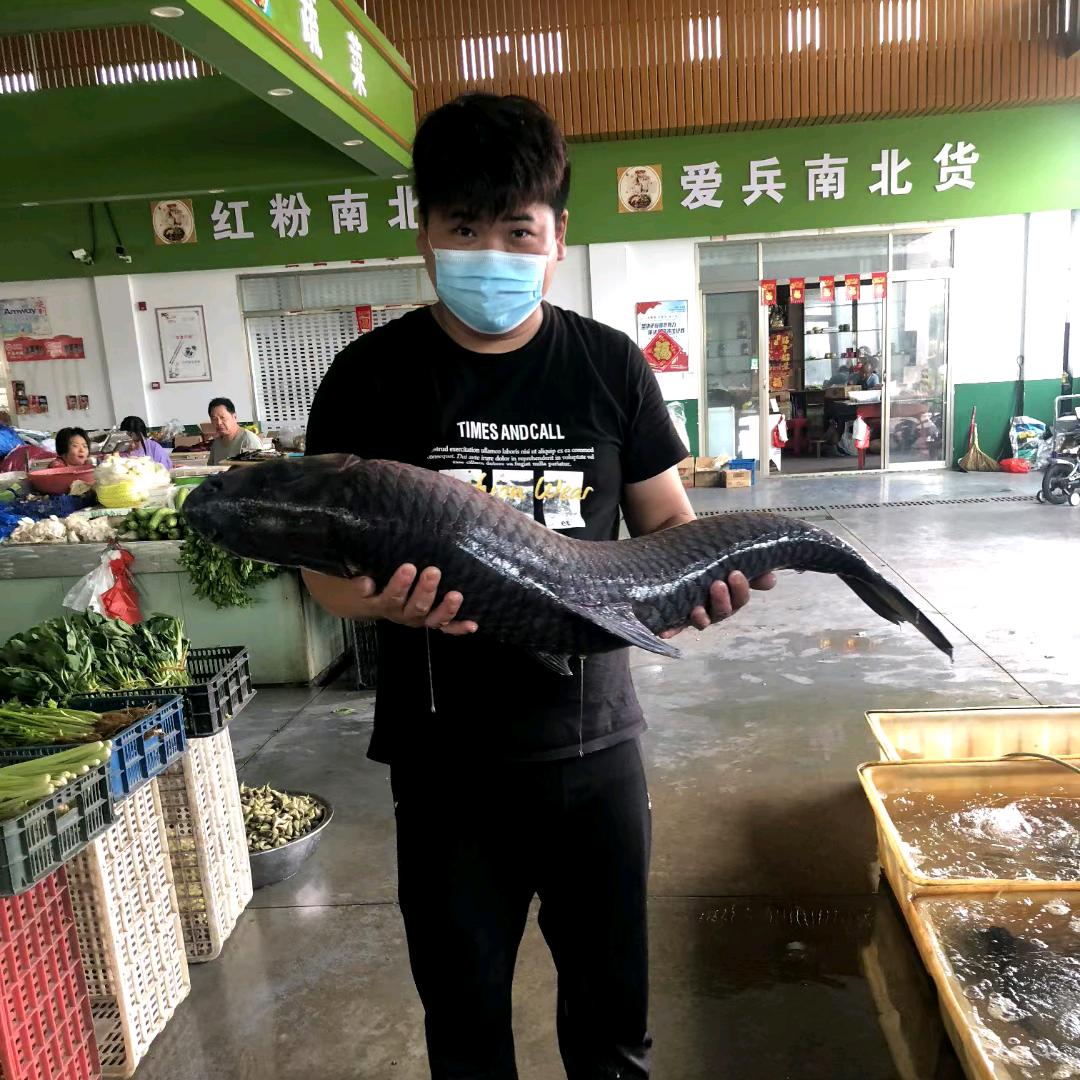 周记水产