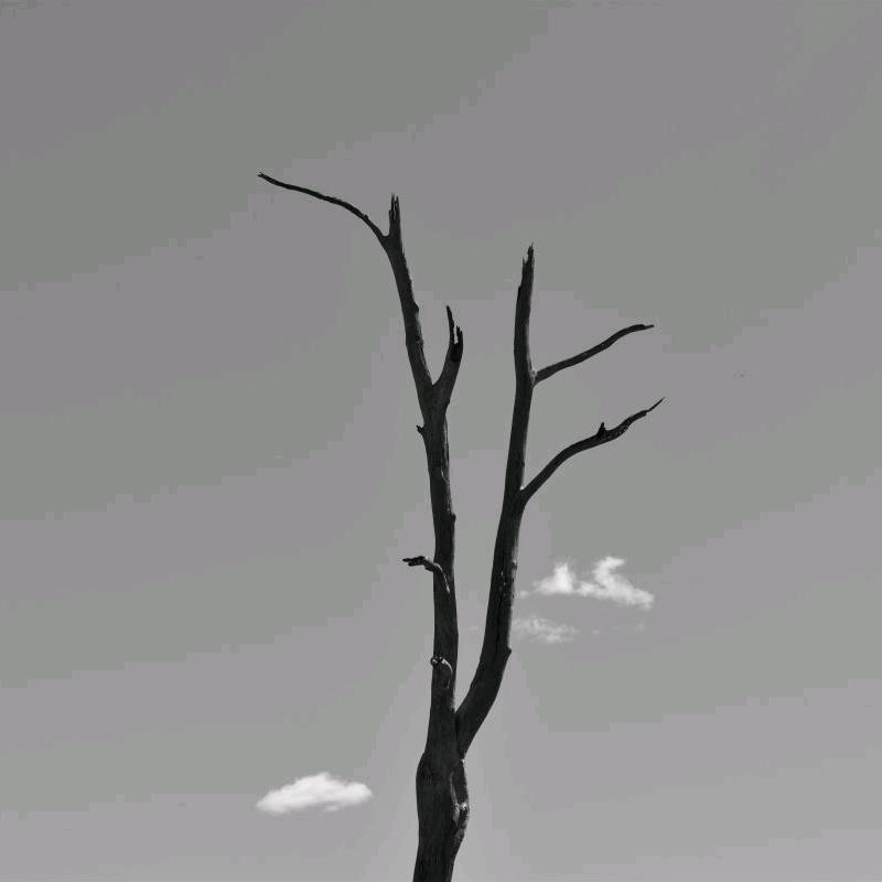 银月横扫一枪雪