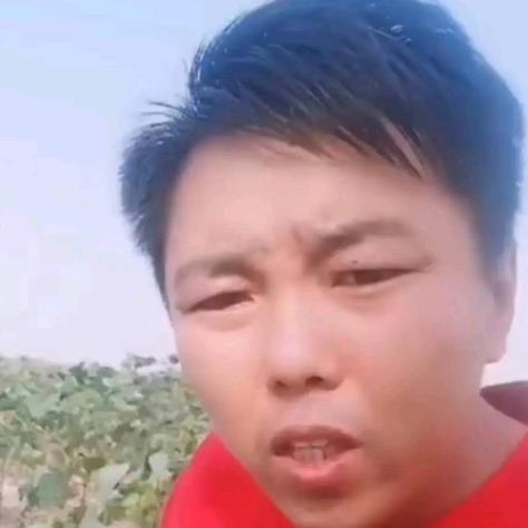 威县岩哥