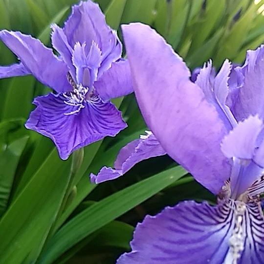 花好月圆