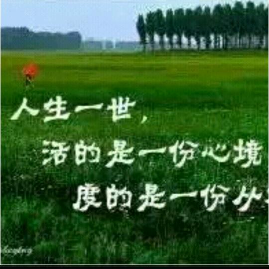 L岁月如歌M
