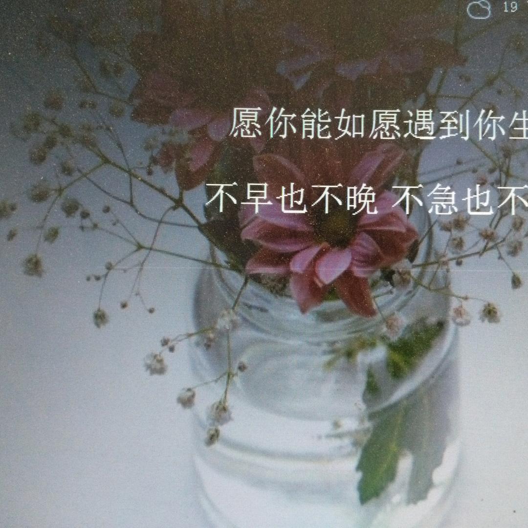 青春之旅