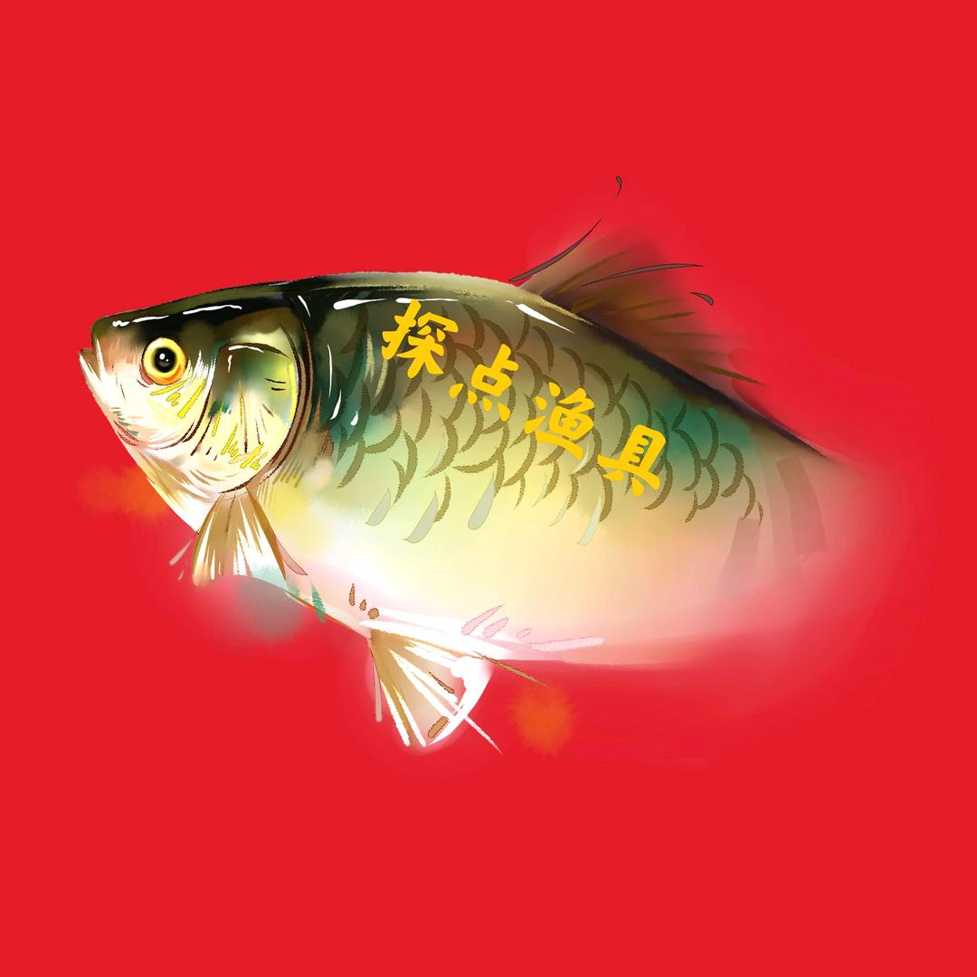 兴化探点