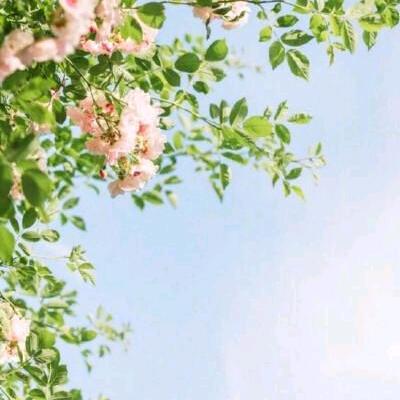 聂文星