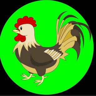 好物分享一乒乓随缘