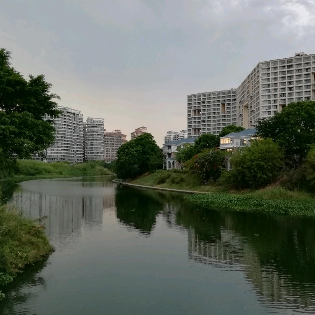 花姐帮忙