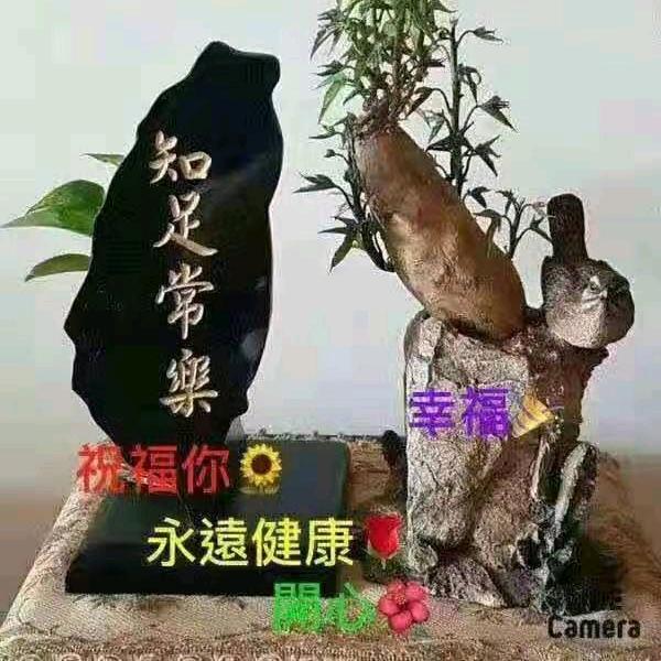 🐥🌻🧚‍♀️珍姐💥🍄