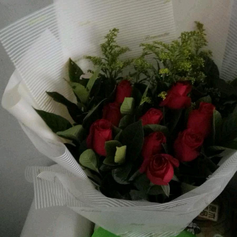 🌹阳光在风雨后🌹