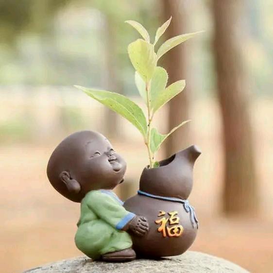 南墙已撞   故事已忘