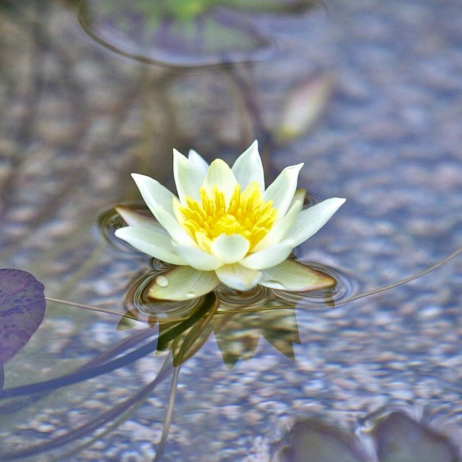 🌈一叶扁舟⛵️