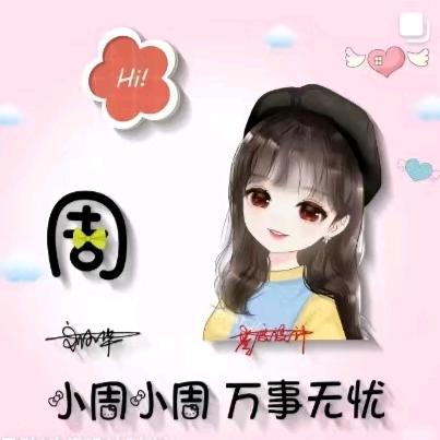 随风飘淡