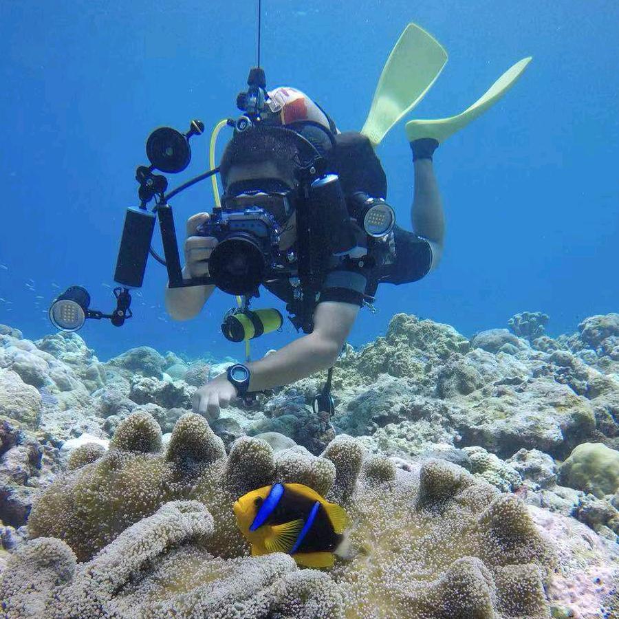 东莞市壹玖捌叁光电有限公司