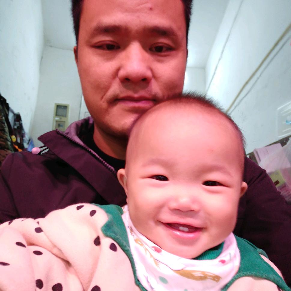 五里小何，土黄牛零售