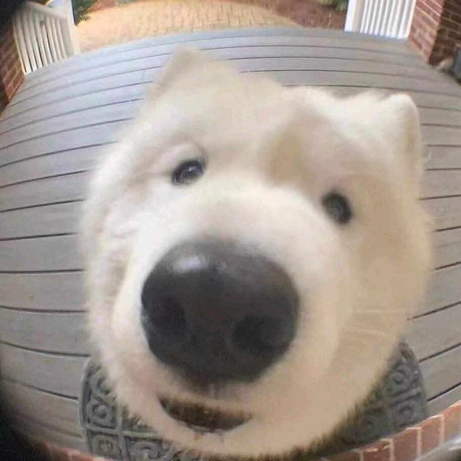 Hh