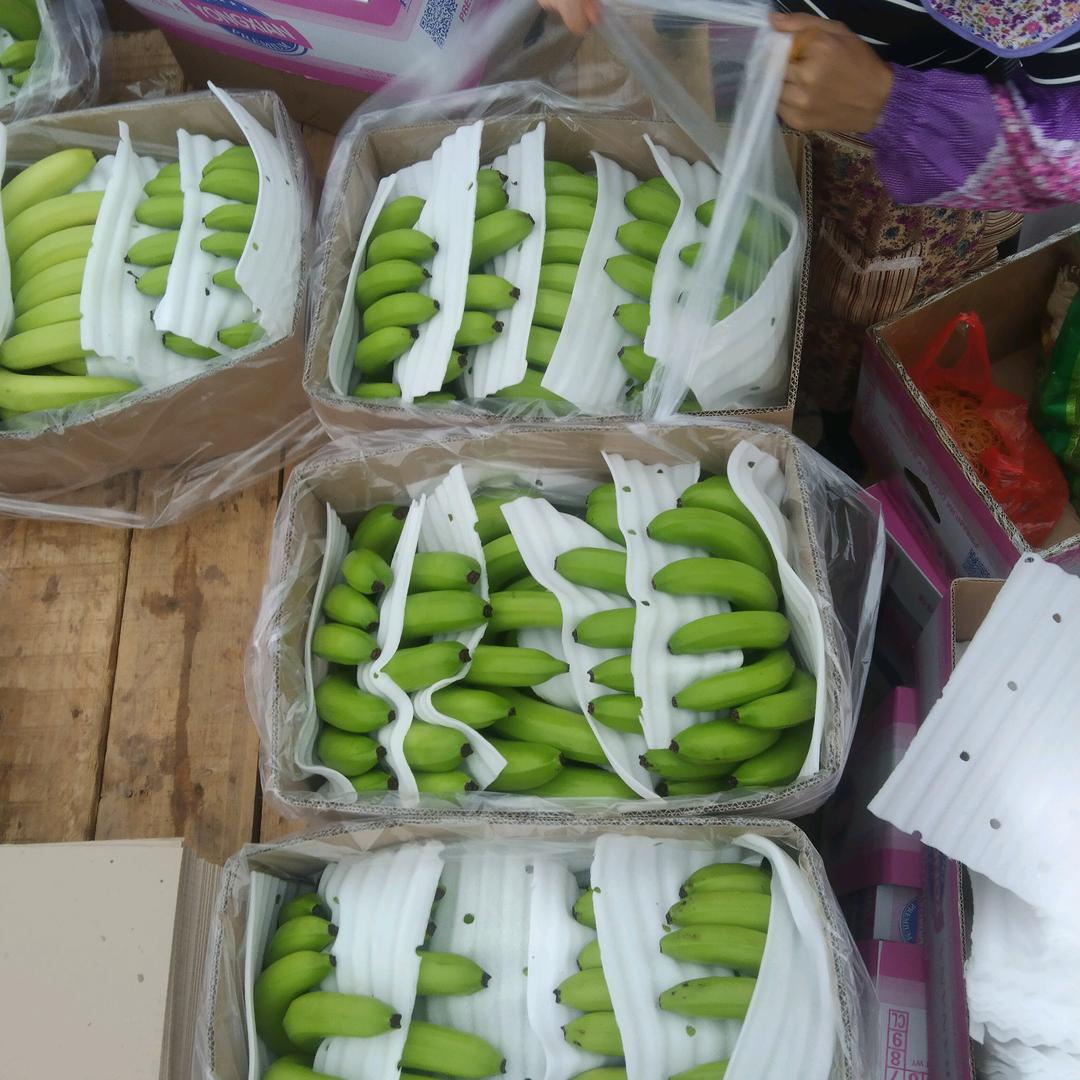 诚信装工小李