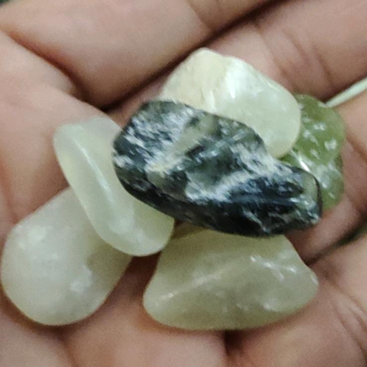 金家二宝《^O^》