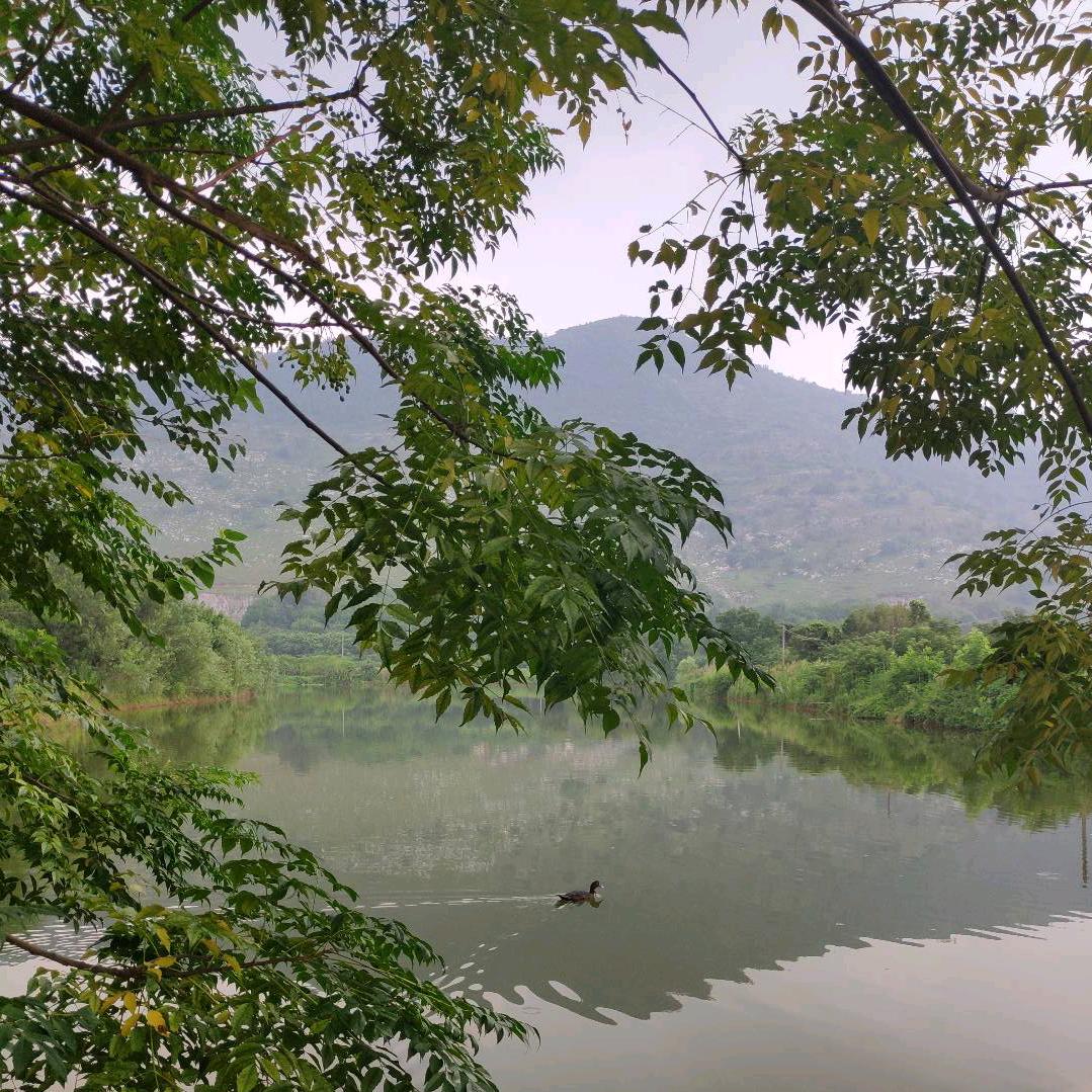 阜南县东笑公司(杜)