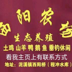 钓场配送－西阳农场水产批发