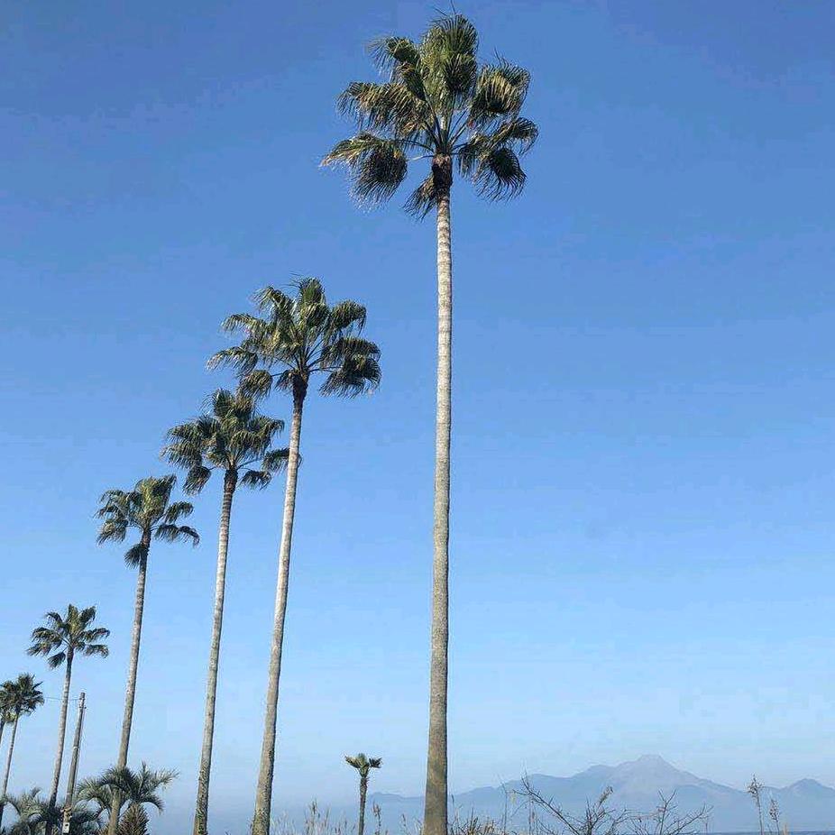 快乐时光