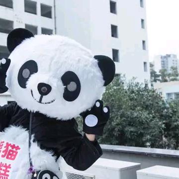 小黄豆（天水累不斯）