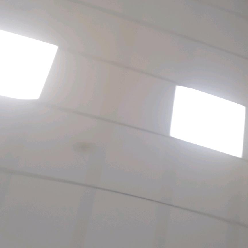 刘曾曾