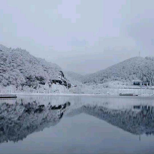 思念