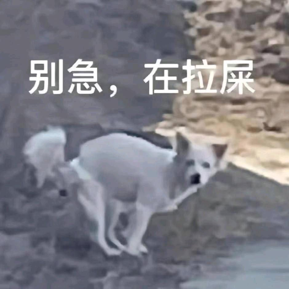 我是少萝喵
