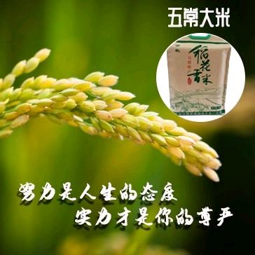 （东北老乡驿站在上海）