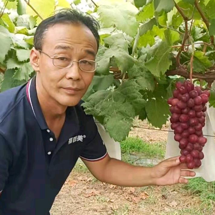 曹建军