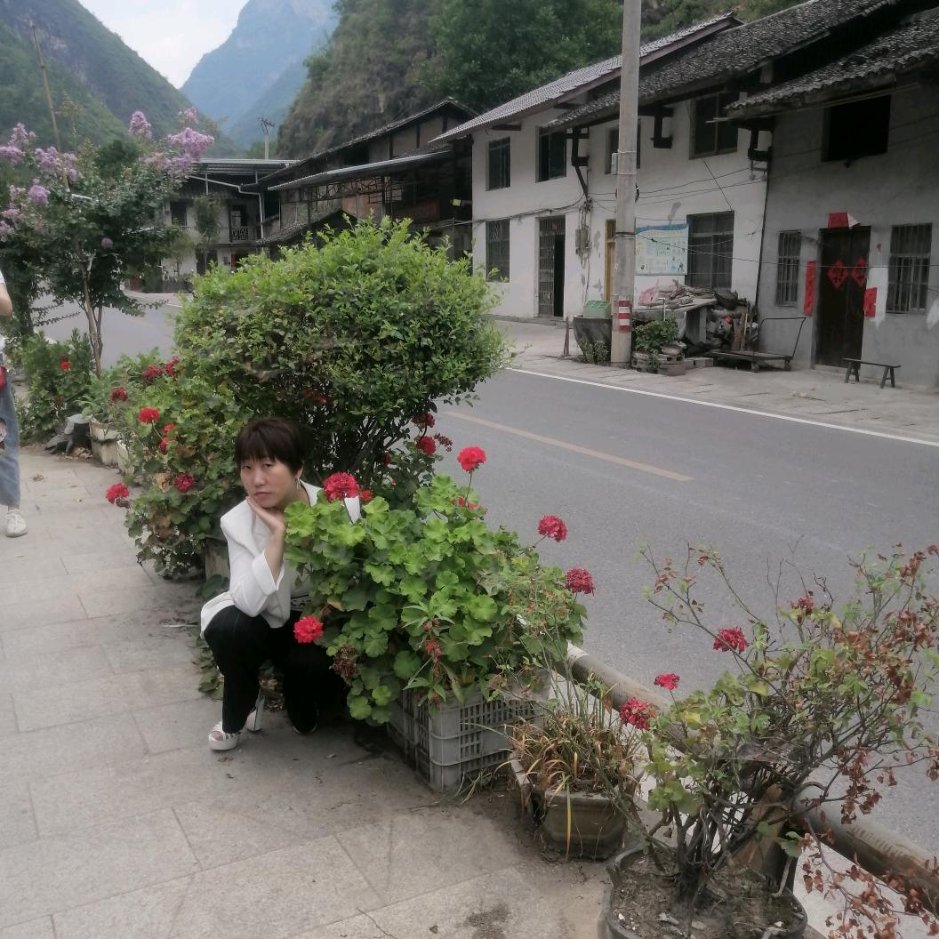 @杜梅儿🌹🌹