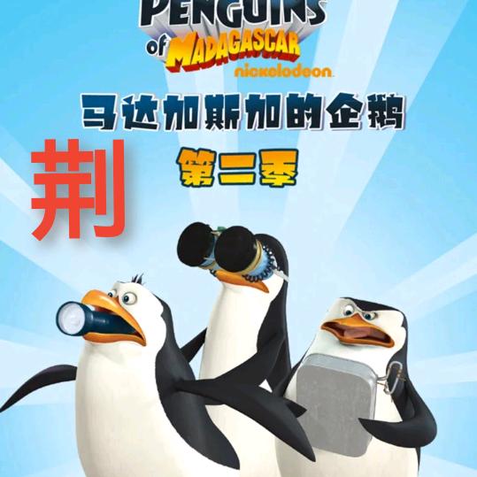 马达加斯加的企鹅