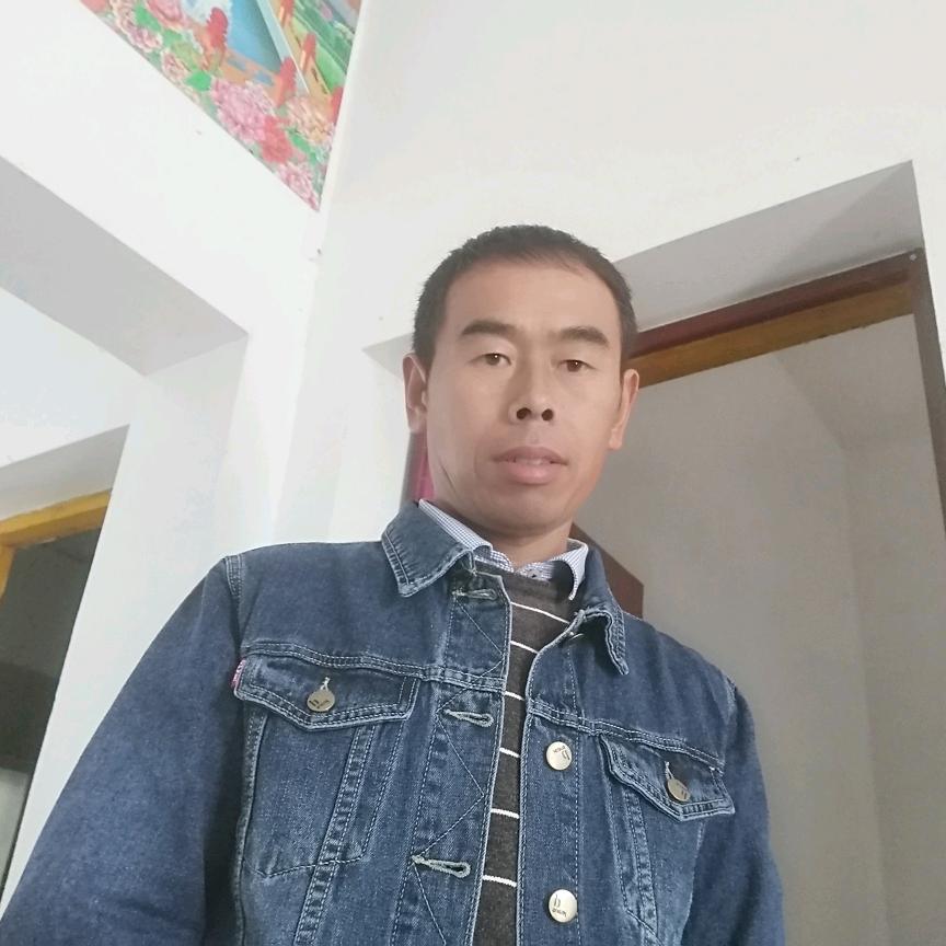 富贵花开邓