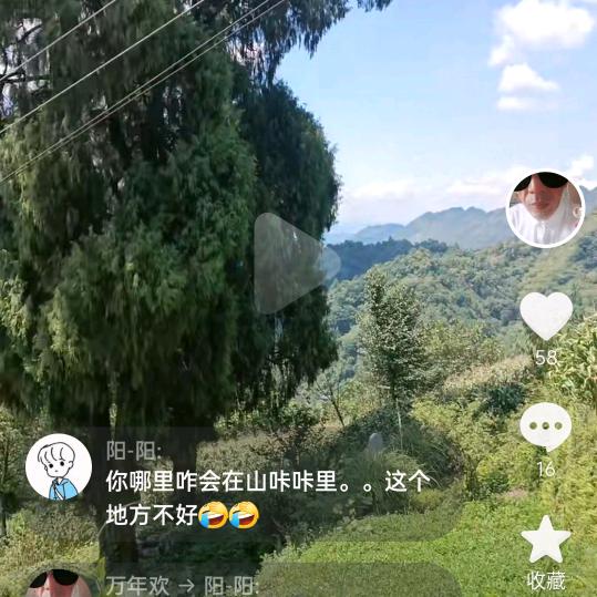 万年欢
