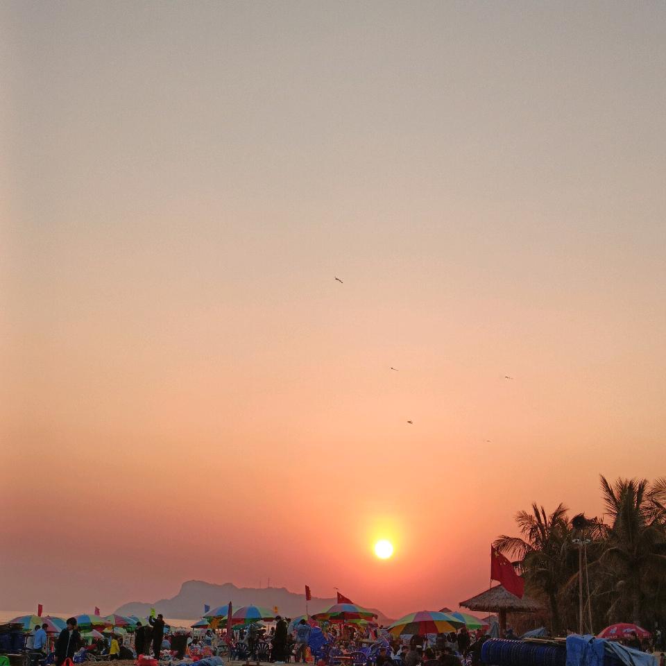 天天