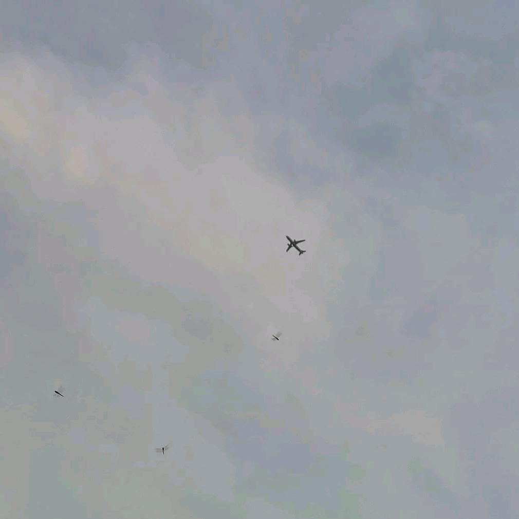 不慌不乱