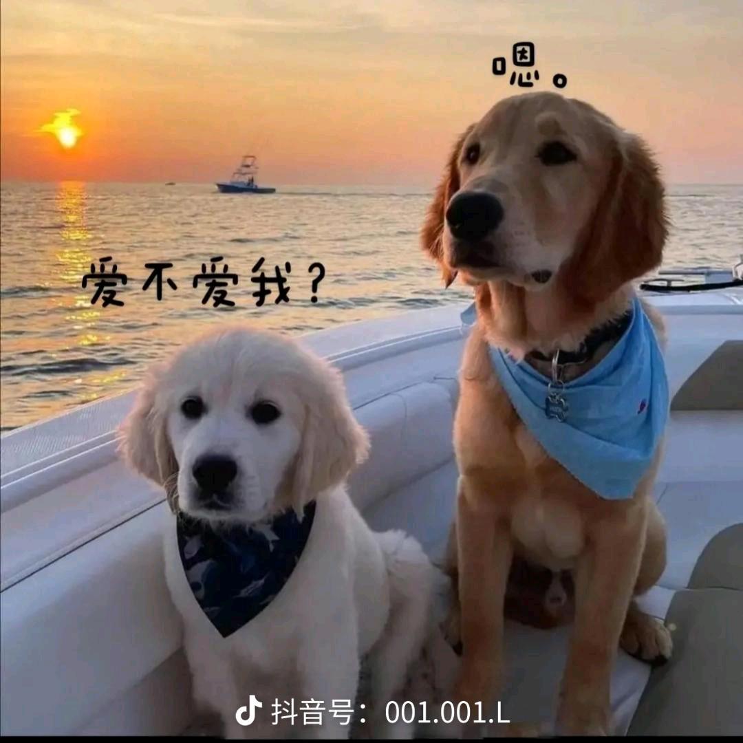 小Y