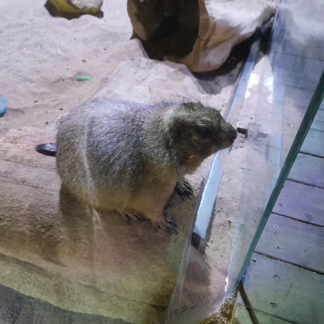 清风入梦
