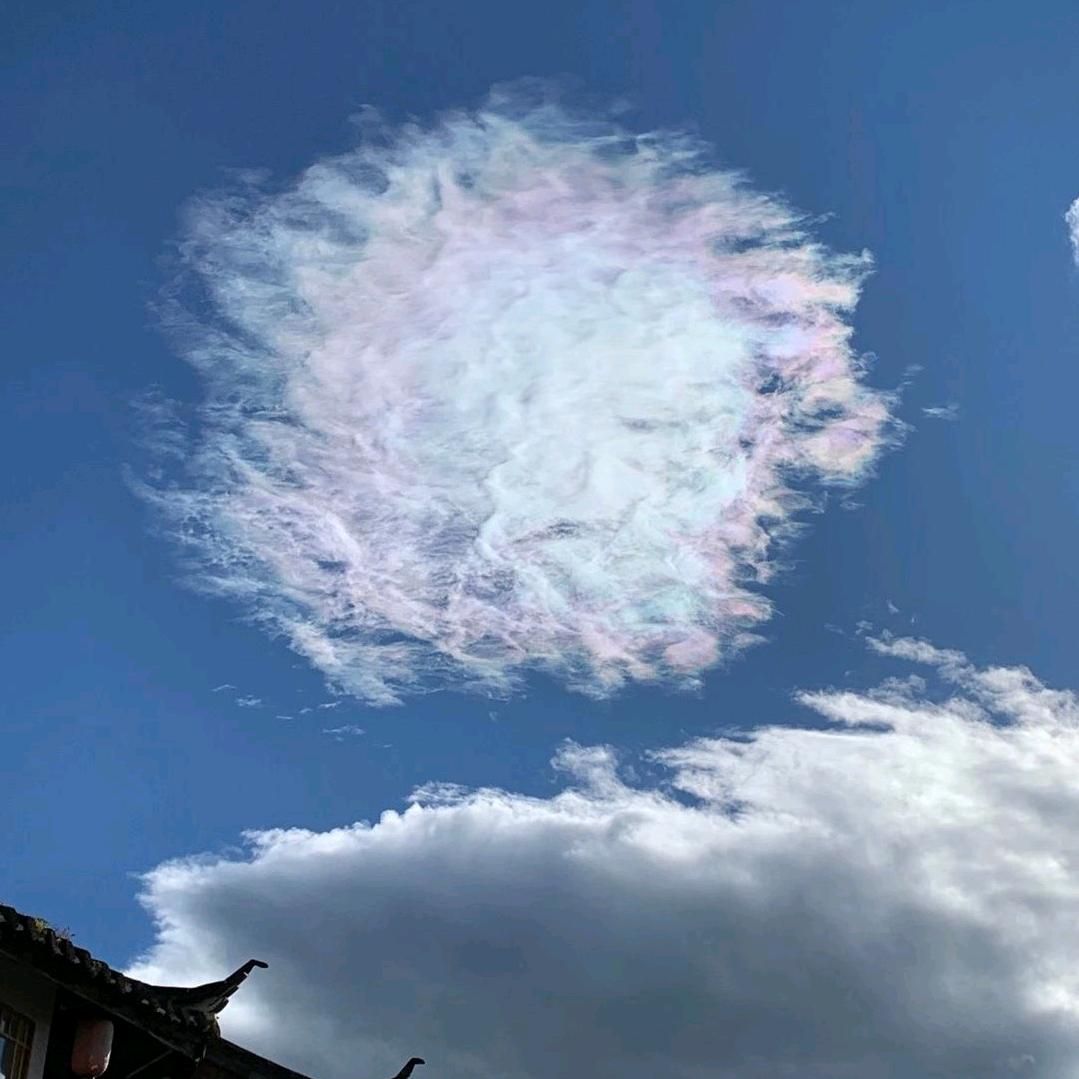 天天小可爱⊙﹏⊙