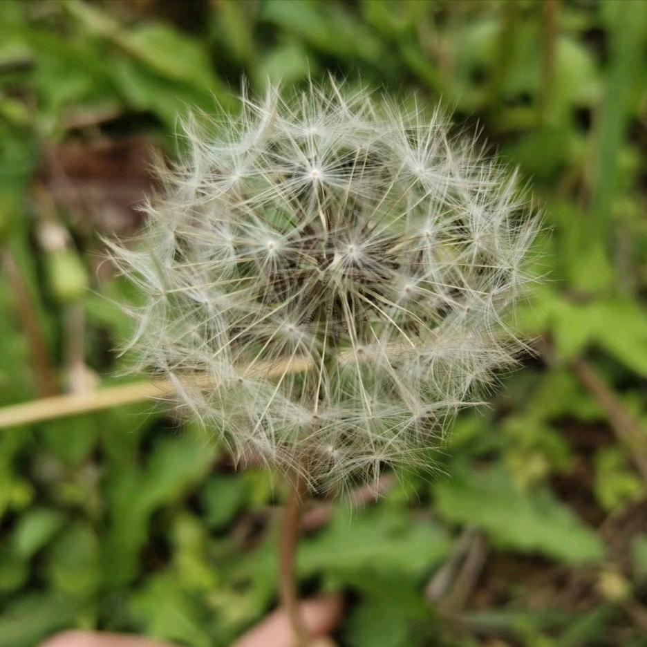 🌸世间万物不及你🌸