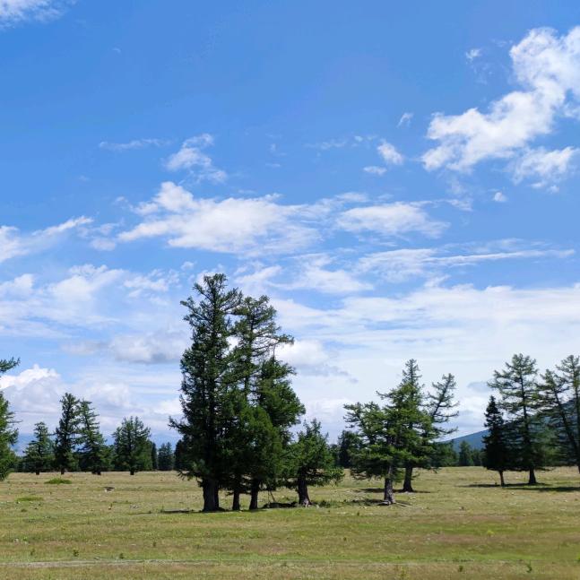 ←═╬∞懷揣伈動~`