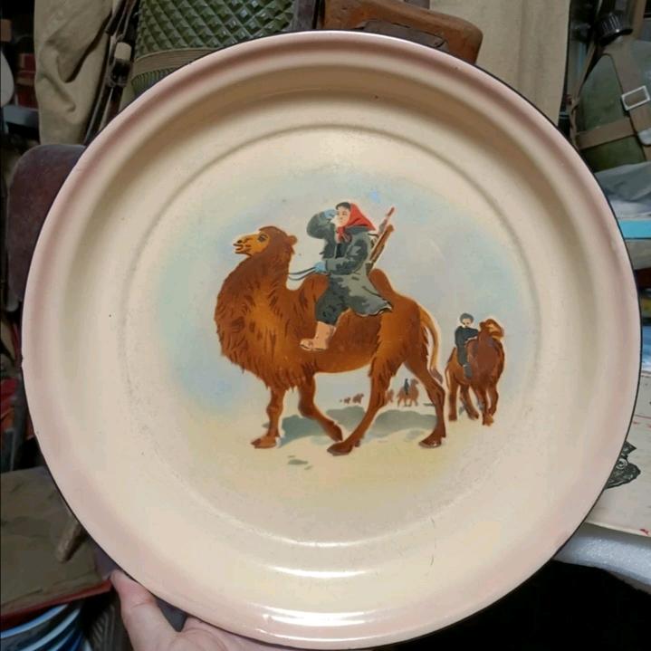 骆驼
