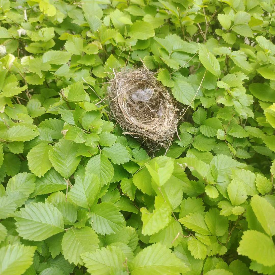 @海燕看房
