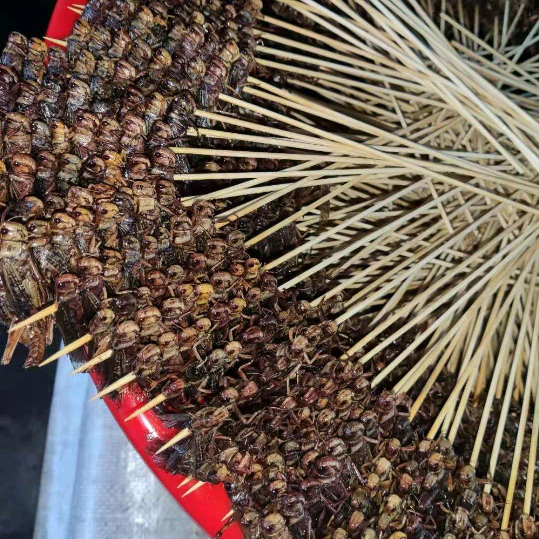 蚂蚱串厂家