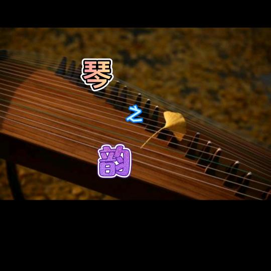 琴～之韵